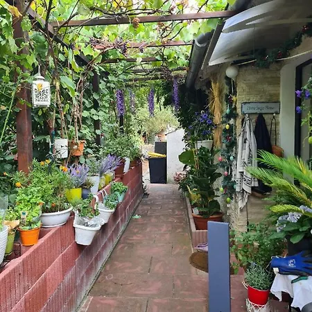 Cozy With A Beautiful Garden View * Baunatal