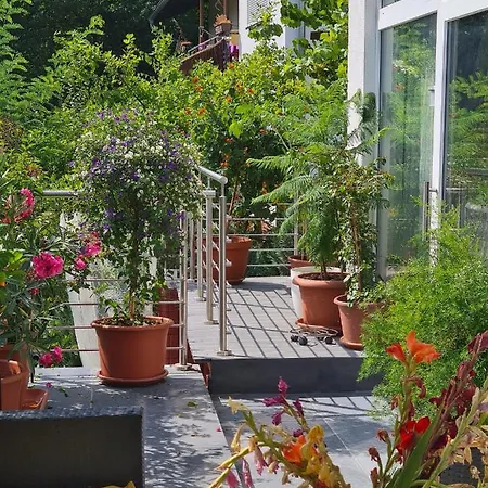 Cozy With A Beautiful Garden View Accommodatie bij particulieren Baunatal