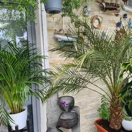 Cozy With A Beautiful Garden View Habitación en casa particular