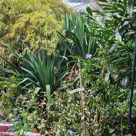 Homestay Cozy With A Beautiful Garden View