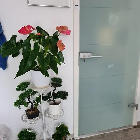 Homestay Cozy With A Beautiful Garden View