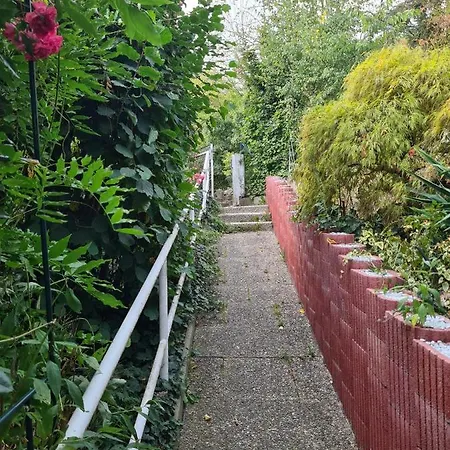 Cozy With A Beautiful Garden View *