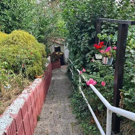 Quarto em Acomodações Particulares Cozy With A Beautiful Garden View