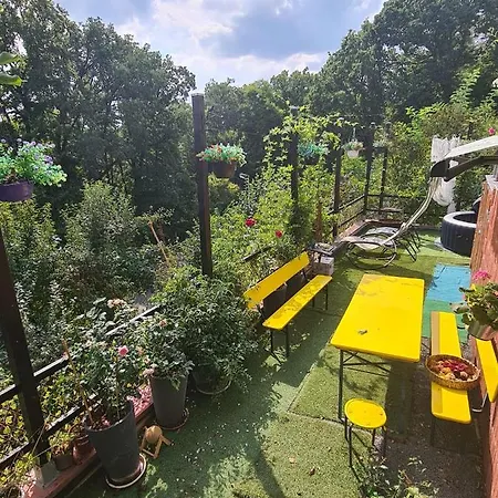 Accommodatie bij particulieren Cozy With A Beautiful Garden View *