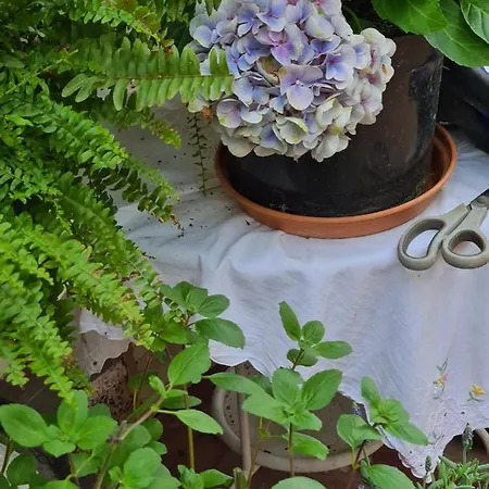 Cozy With A Beautiful Garden View Quarto em Acomodações Particulares Baunatal