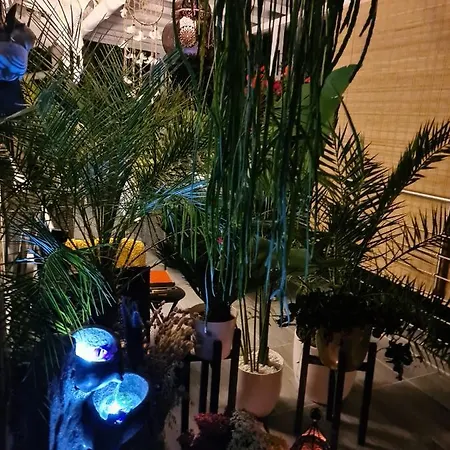 Homestay Cozy With A Beautiful Garden View *