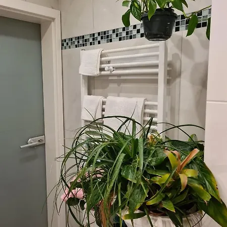 Homestay Cozy With A Beautiful Garden View Baunatal