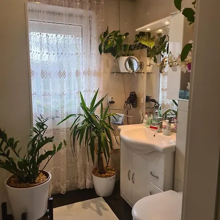 Homestay Cozy With A Beautiful Garden View