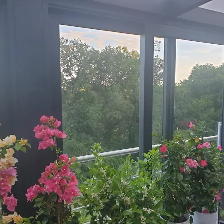 Homestay Cozy With A Beautiful Garden View *