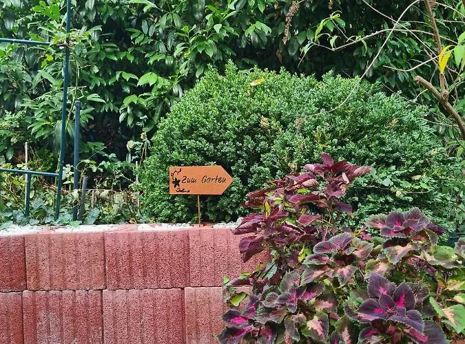 ホームステイ Cozy With A Beautiful Garden View *