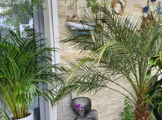 Cozy With A Beautiful Garden View ホームステイ