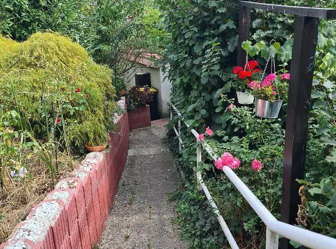 Homestay szállás Cozy With A Beautiful Garden View