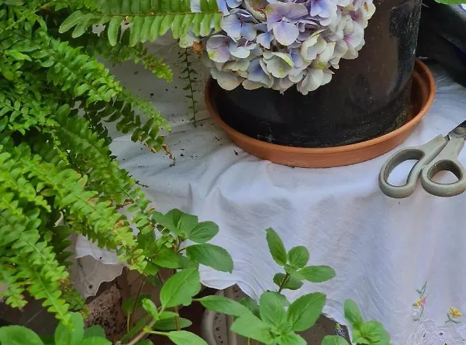 Cozy With A Beautiful Garden View ホームステイ バウナタール