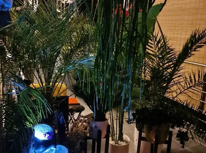 ホームステイ Cozy With A Beautiful Garden View *