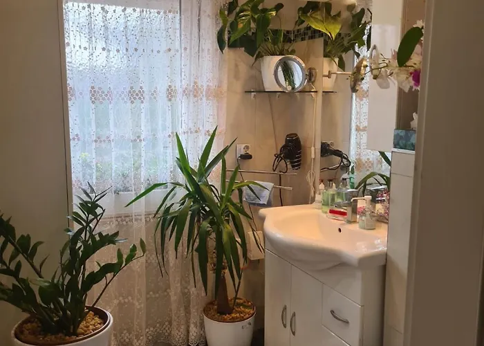 Homestay szállás Cozy With A Beautiful Garden View