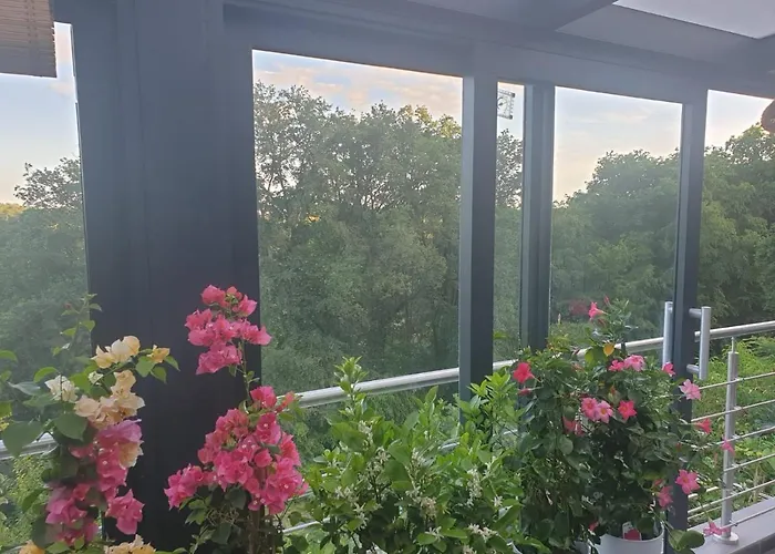 Homestay szállás Cozy With A Beautiful Garden View *